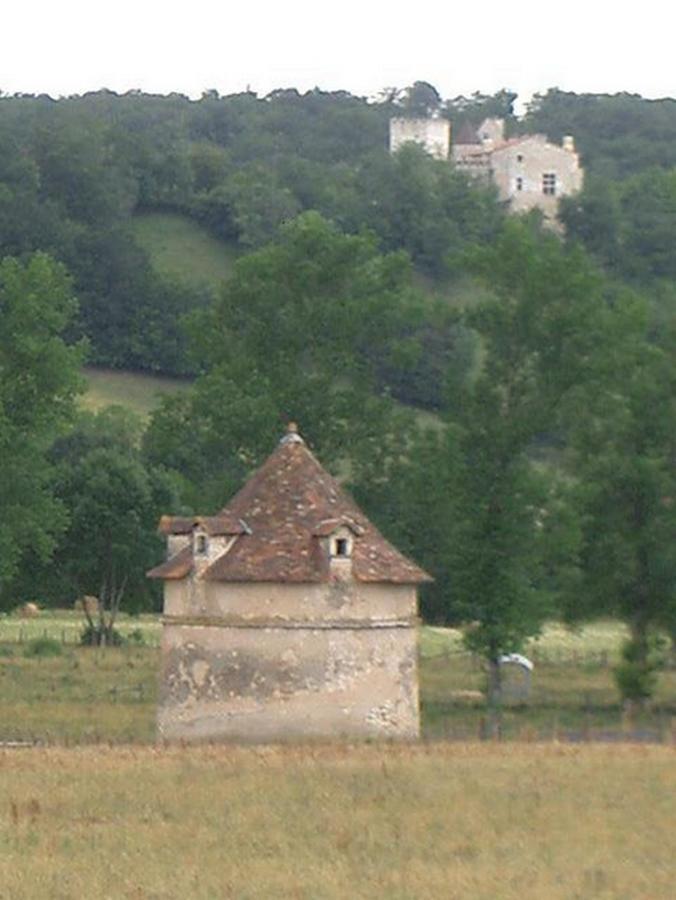 Hotel Le Relais Du Chateau Grignols  Екстериор снимка