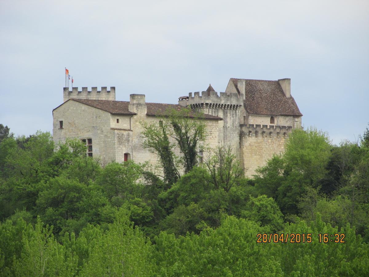 Hotel Le Relais Du Chateau Grignols  Екстериор снимка